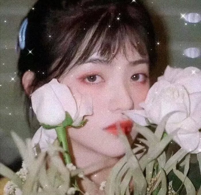 20公分我变身